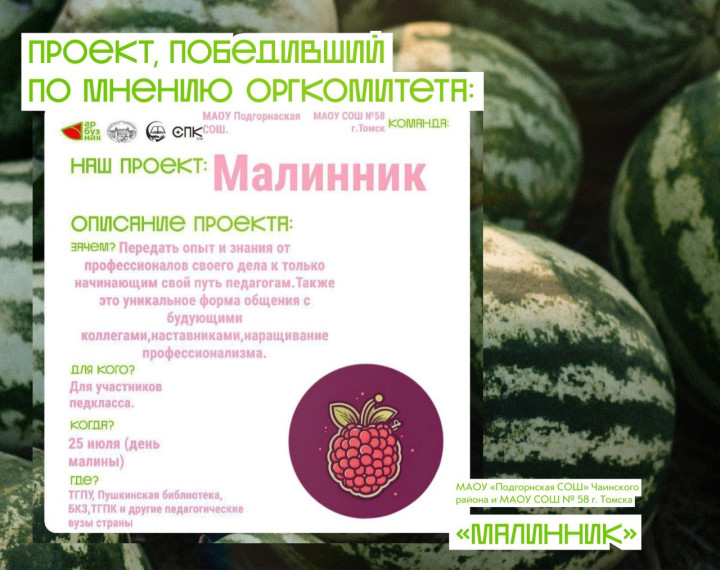 Долгожданные результаты ПЕДАГОГИЧЕСКОГО АРБУЗНИКА 2024🍉.
